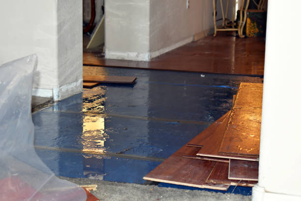 Professional Sewage Cleanup technician working in Badger, CA